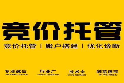 大型企业SEM外包实战案例